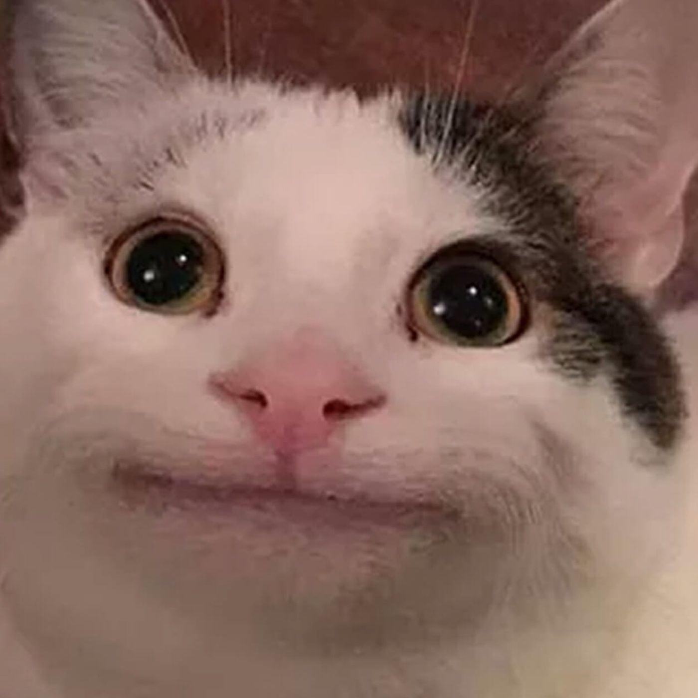 _MANGO_