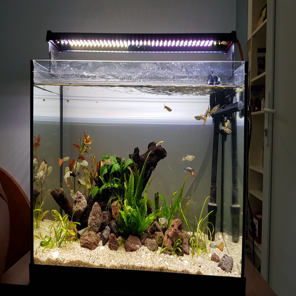 Aquarium Light Fixture