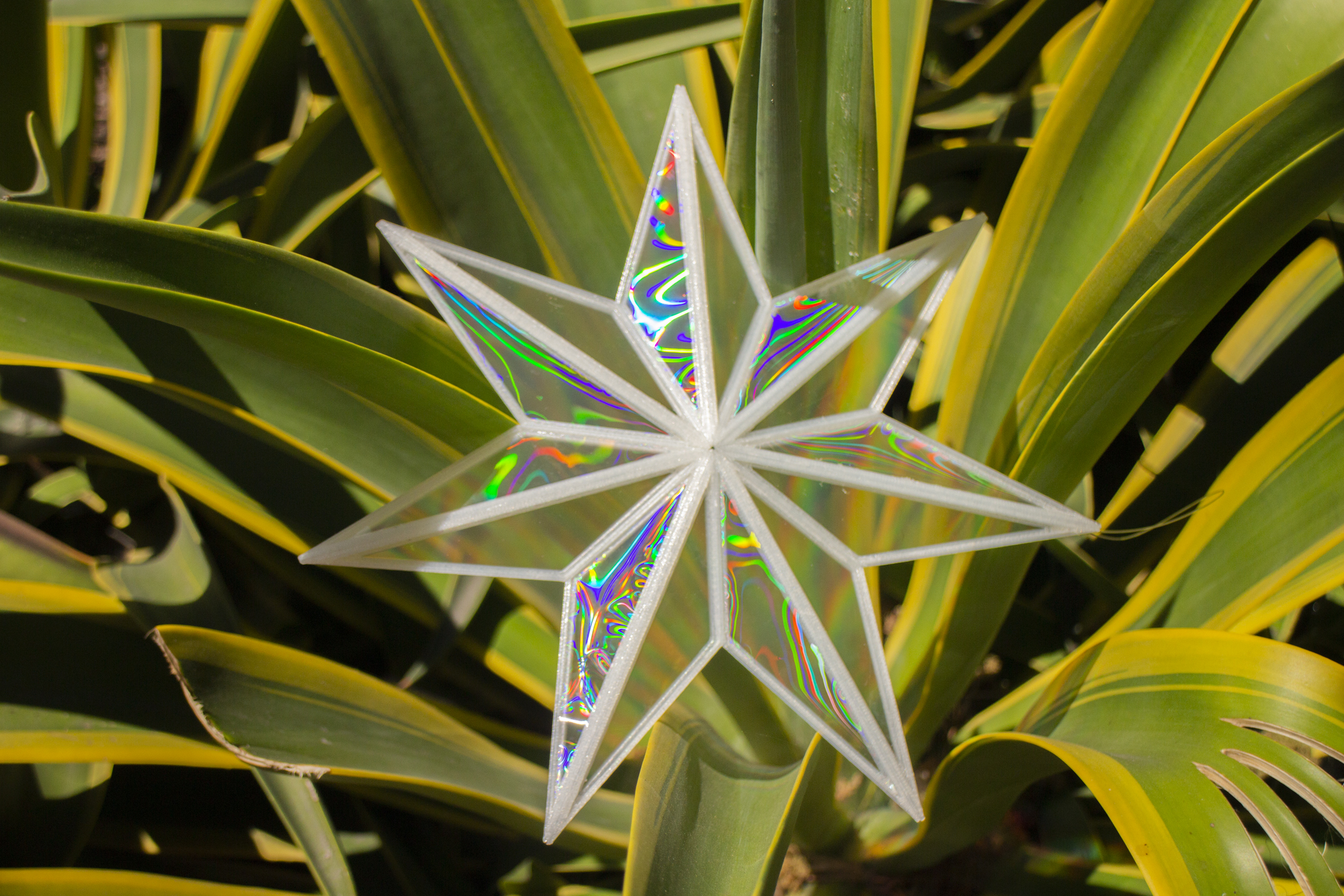Rainbow Suncatcher