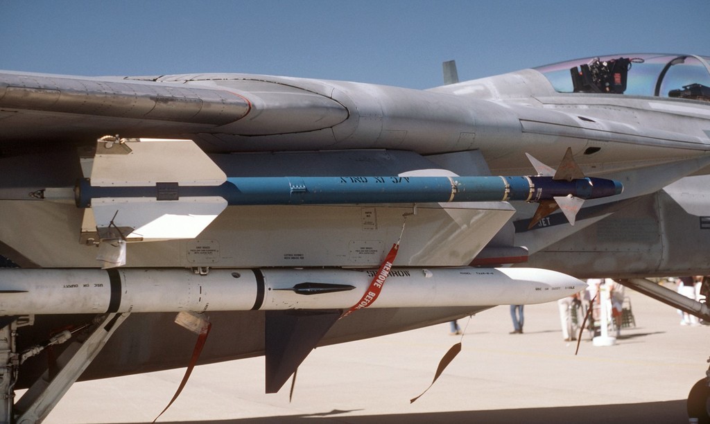 Sidewinder AIM-9L scaled for Freewing F-14