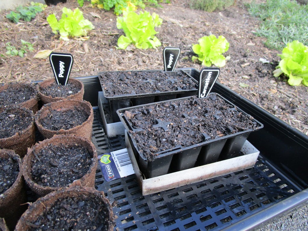 Garden Seed Tray Labels