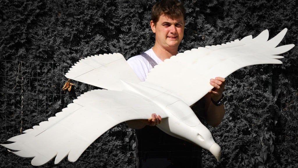 RC 3D printable EAGLE, RC electric motor glider