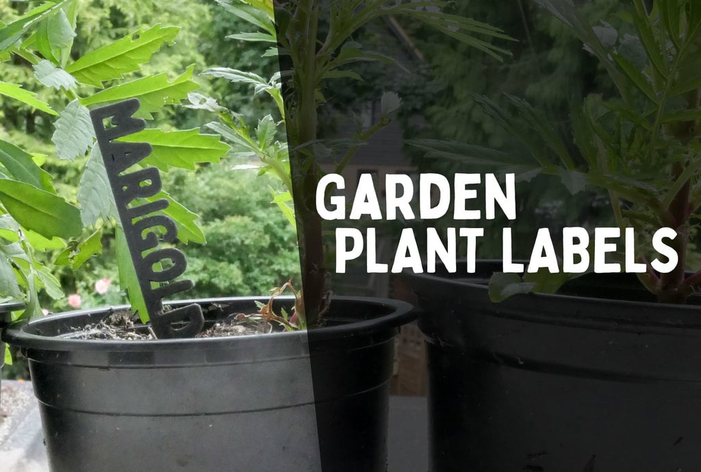 Garden Plant Labels