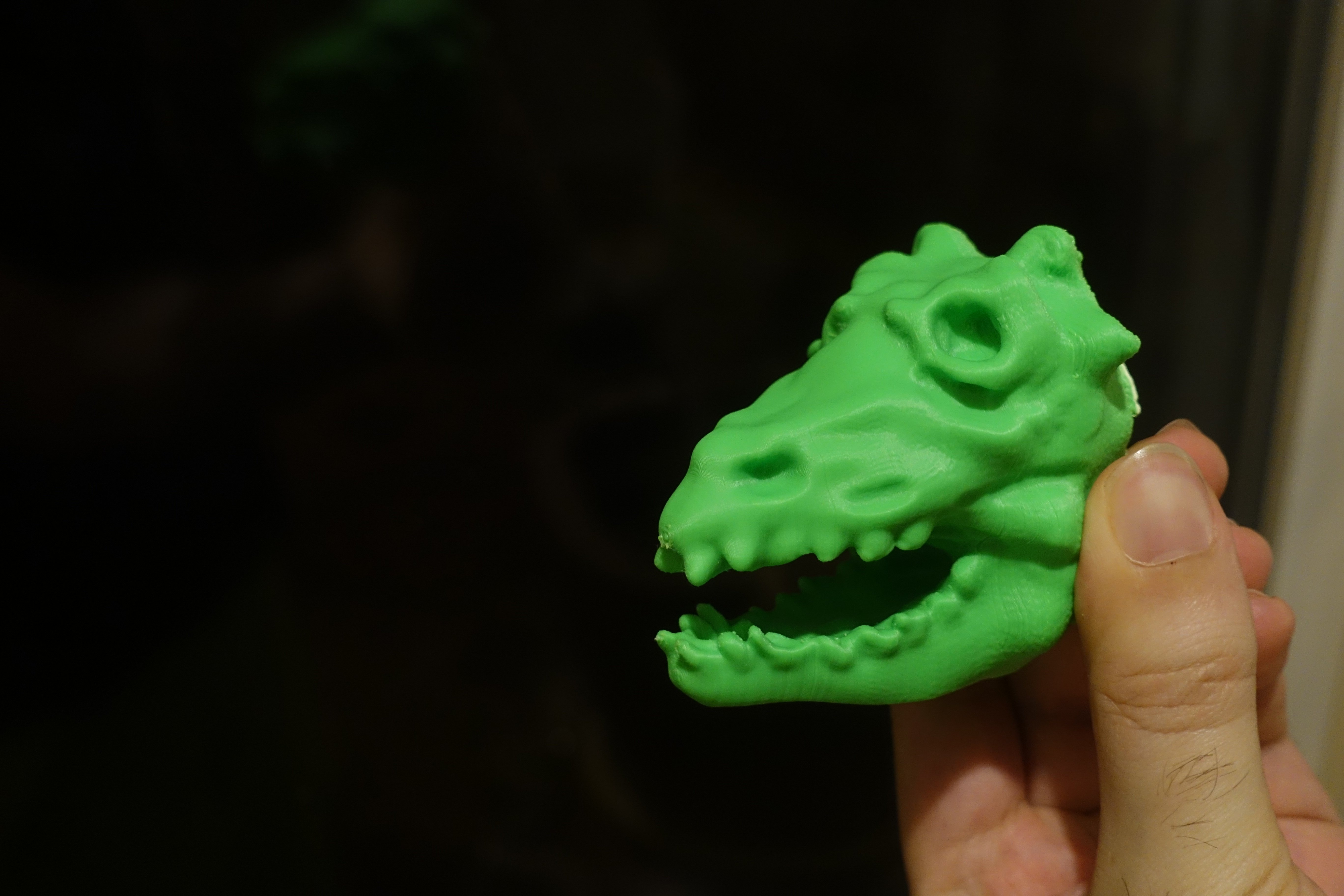 dino skull