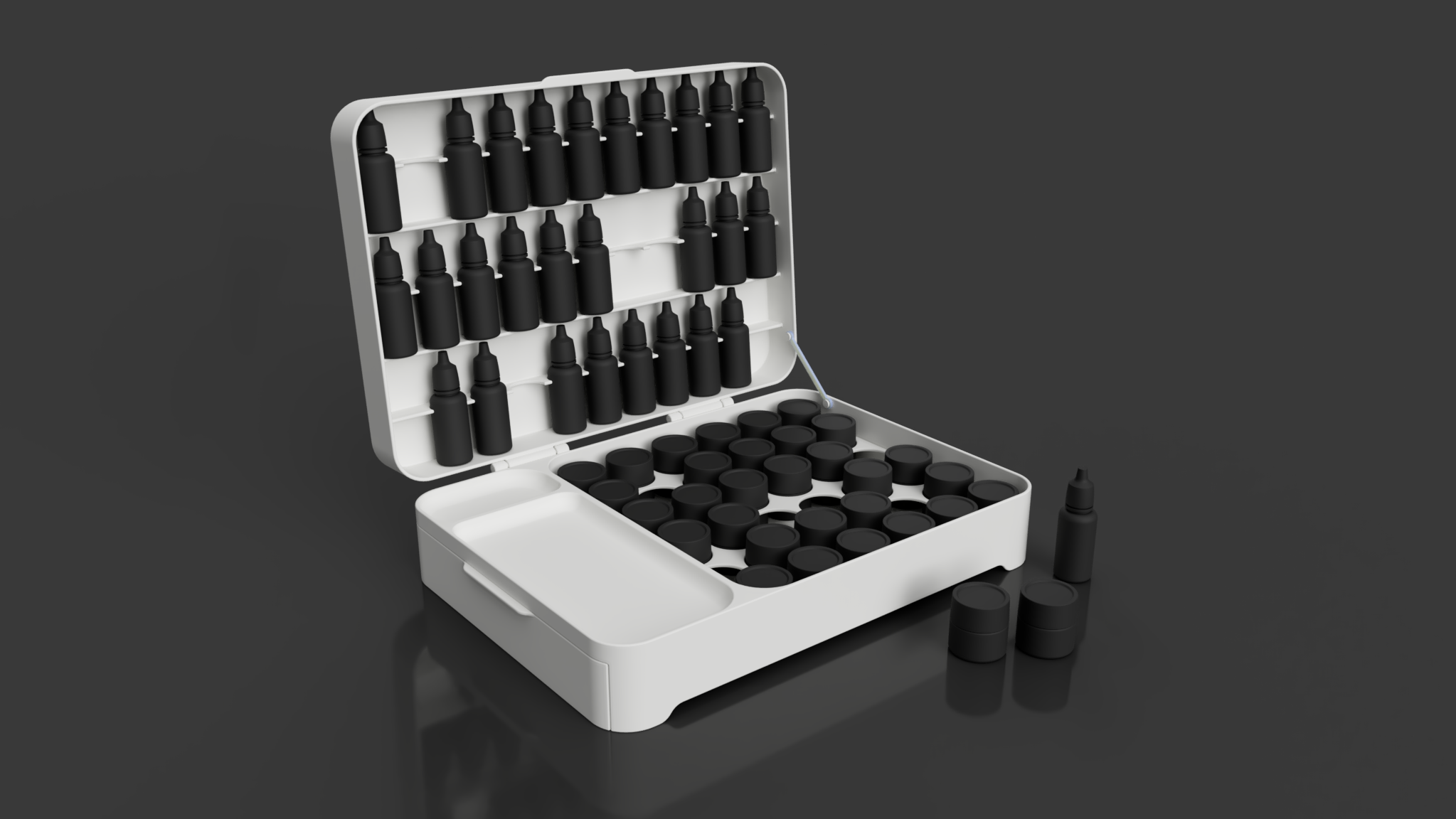 Model-Paint Organizer