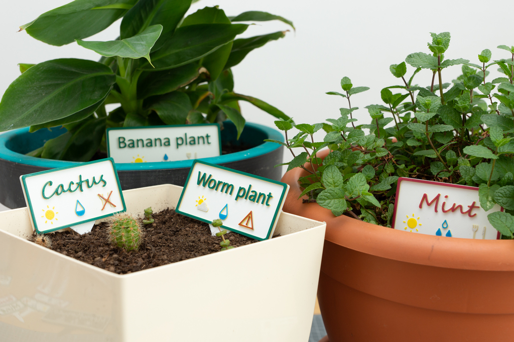 Multicolor Plant Labels