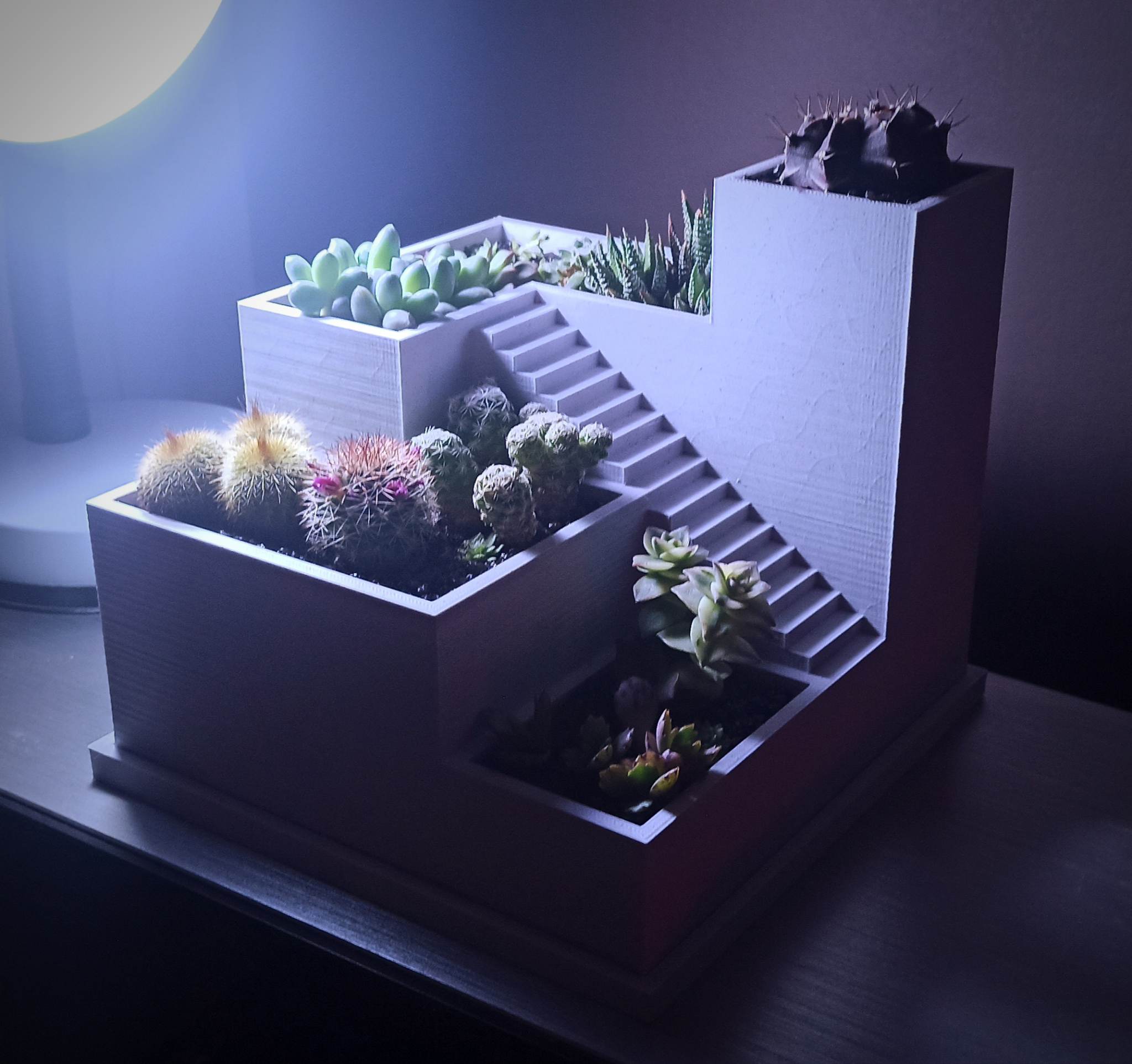 Stairway Succulent Planter