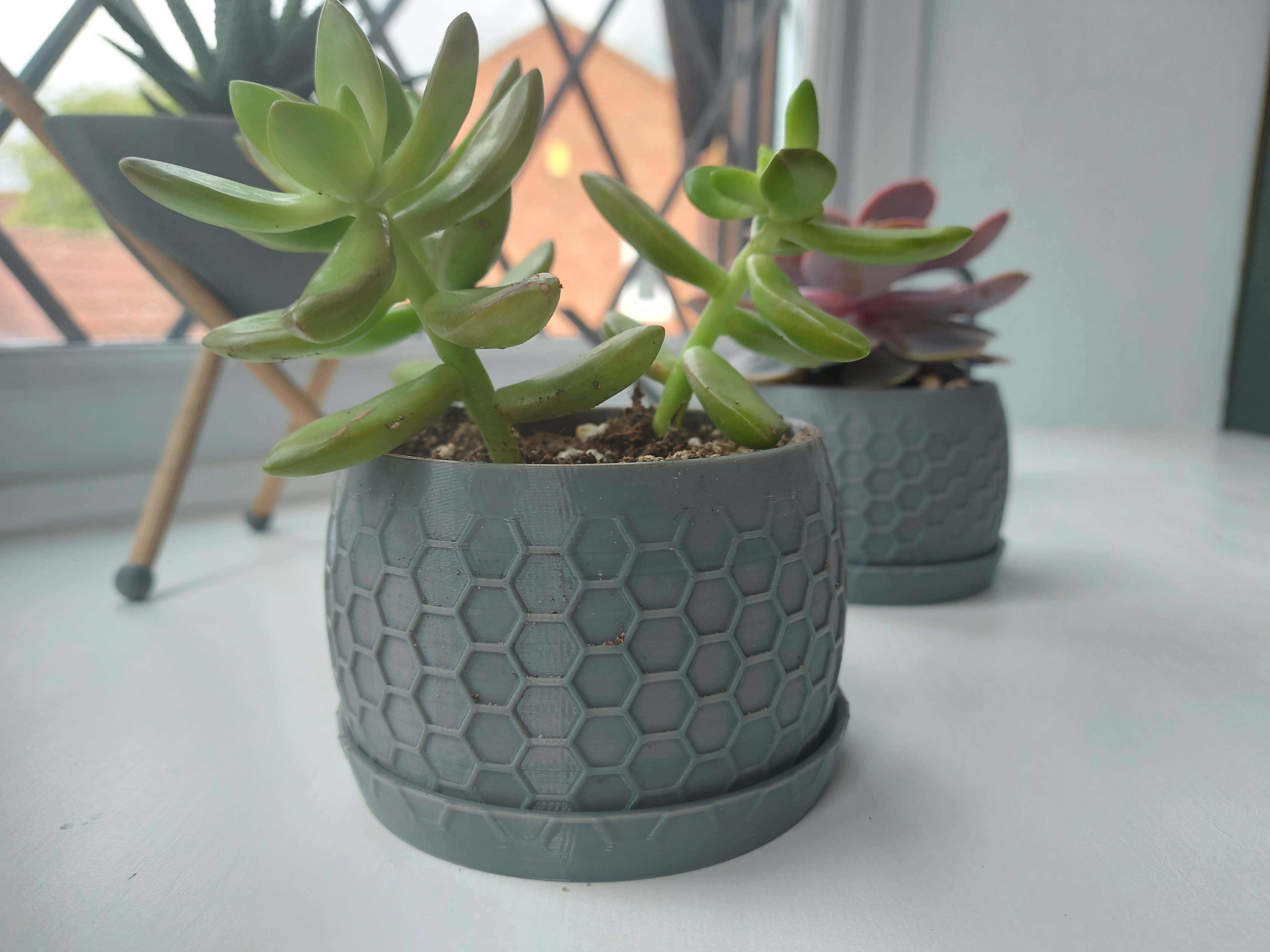 Succulent planter - Honeycomb design