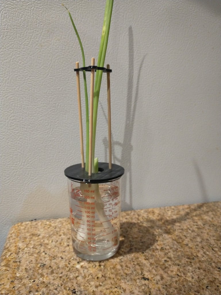 Chive Support in Measuring Cup