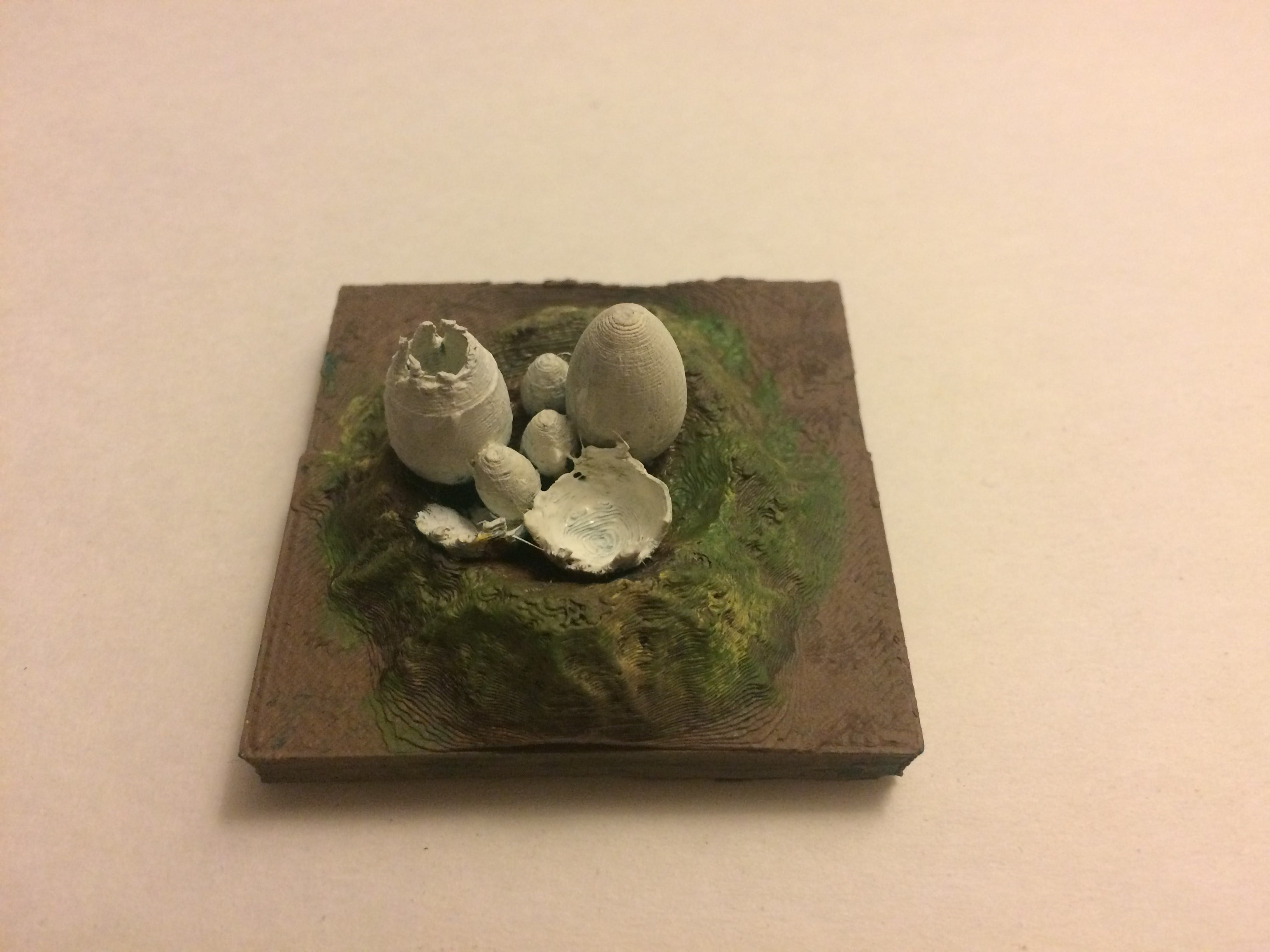 Egg Nest