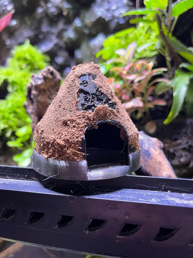 Dart frog egg laying site / hut / cave