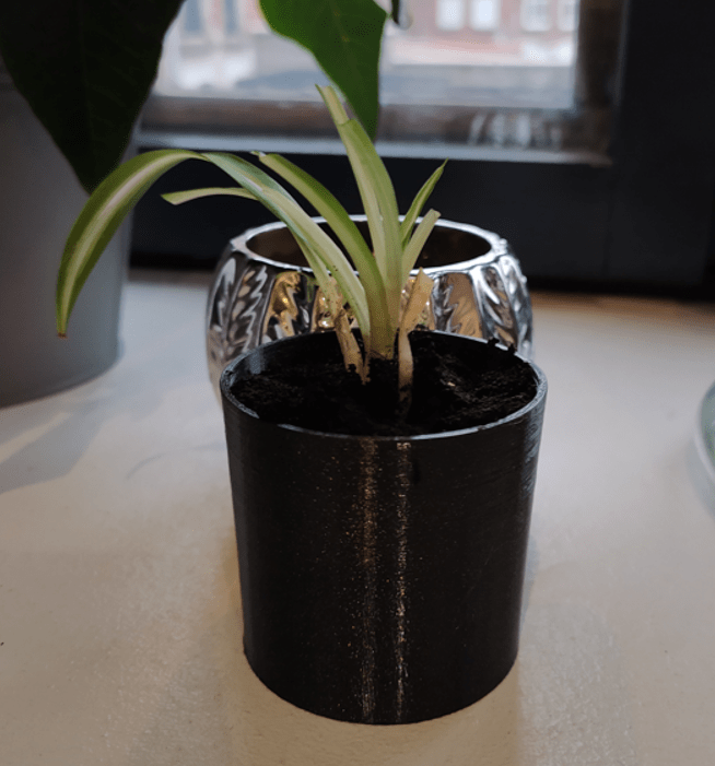 Small planter for cutting 