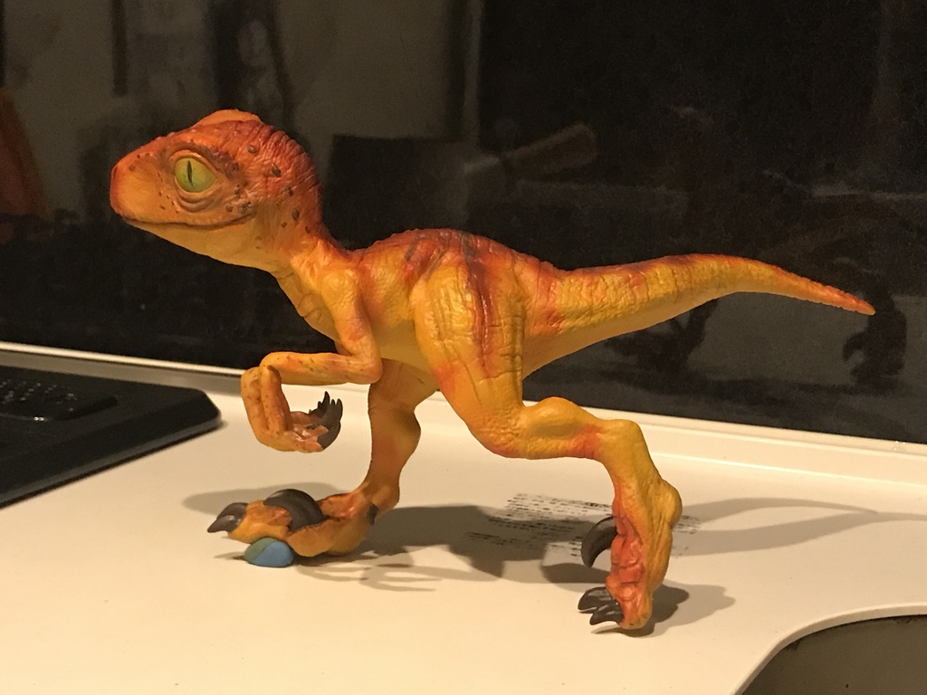 Baby Velociraptor