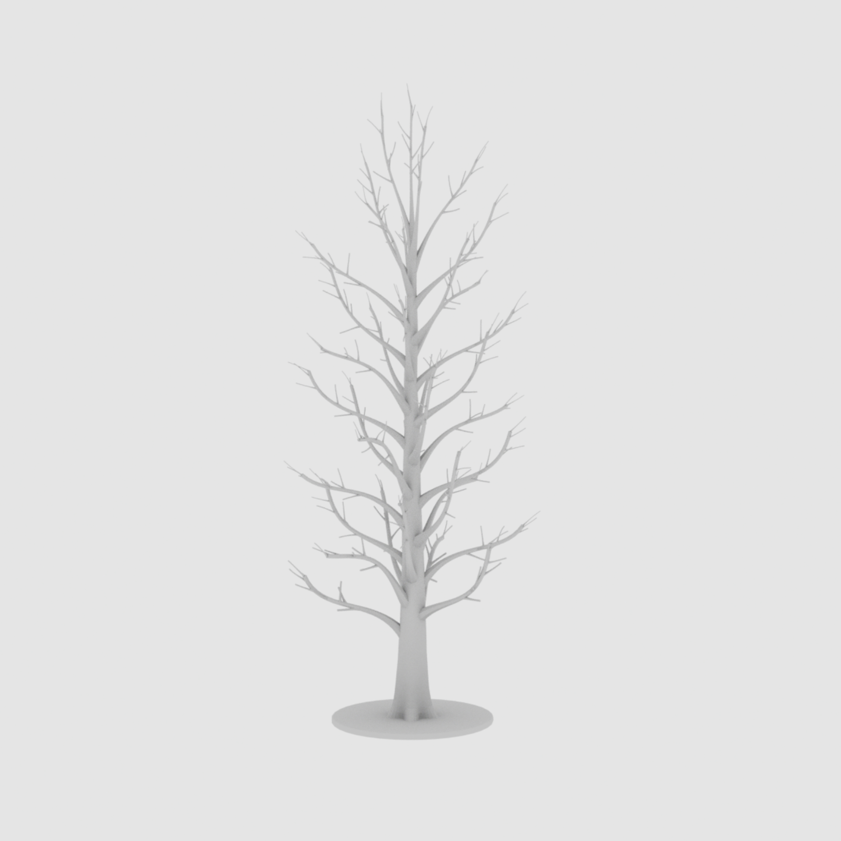 Bare Tree