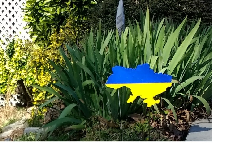 Ukrainian map split flag