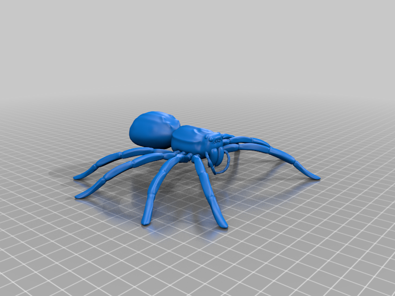 Wolf Spider