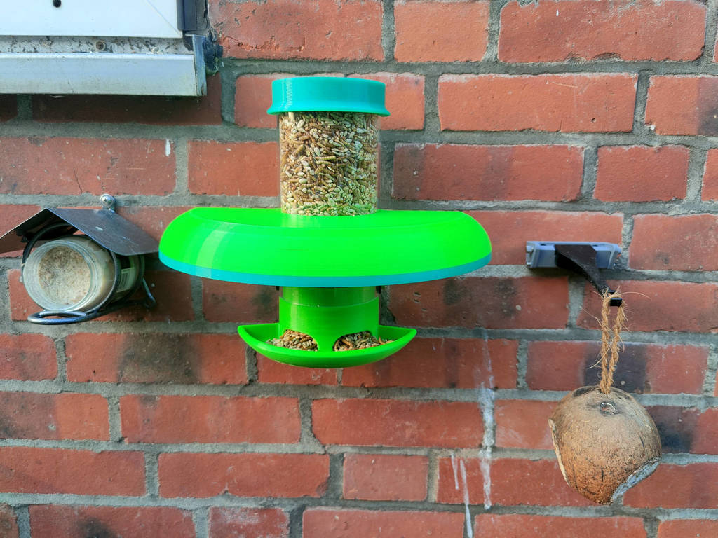 Wild bird feeder 