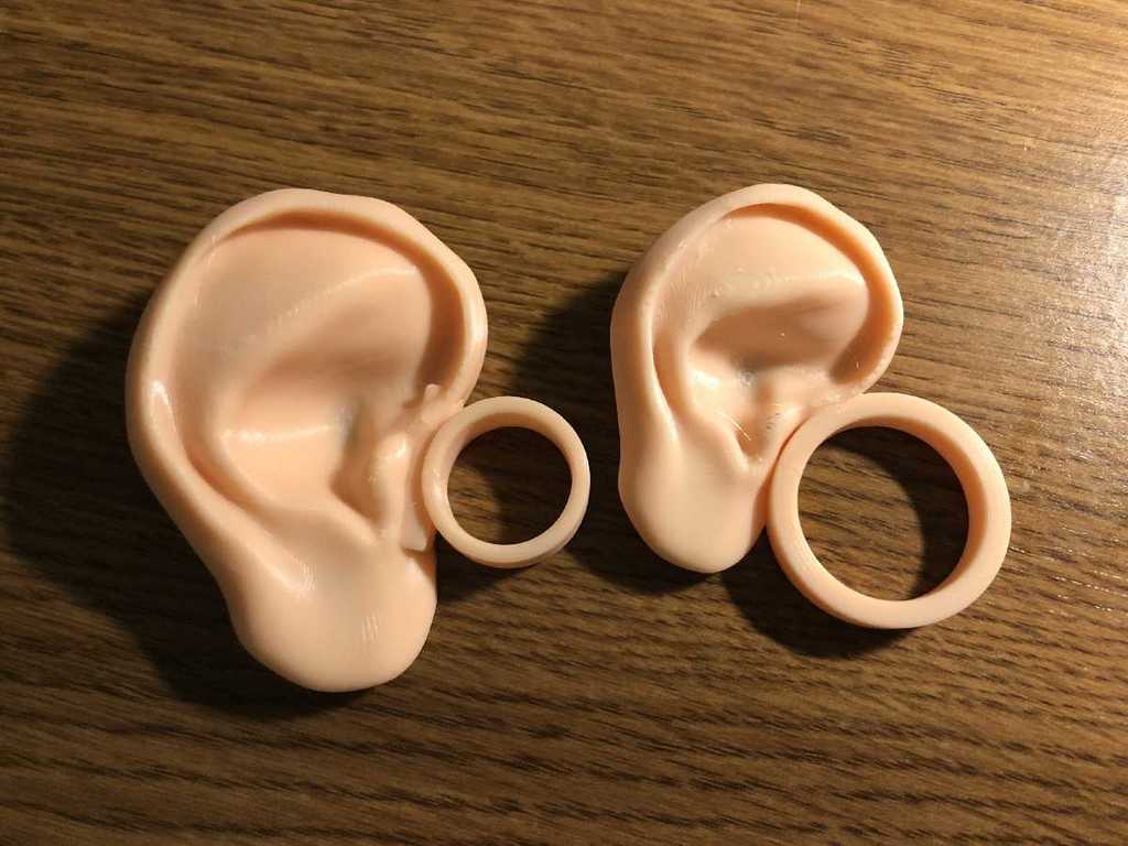 Pair of Ear Rings