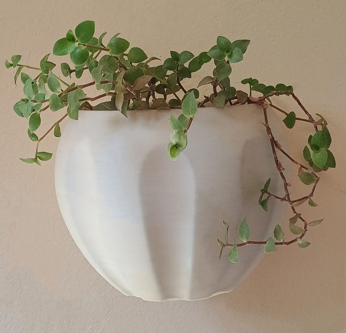 Wall Mounted Plant Pot