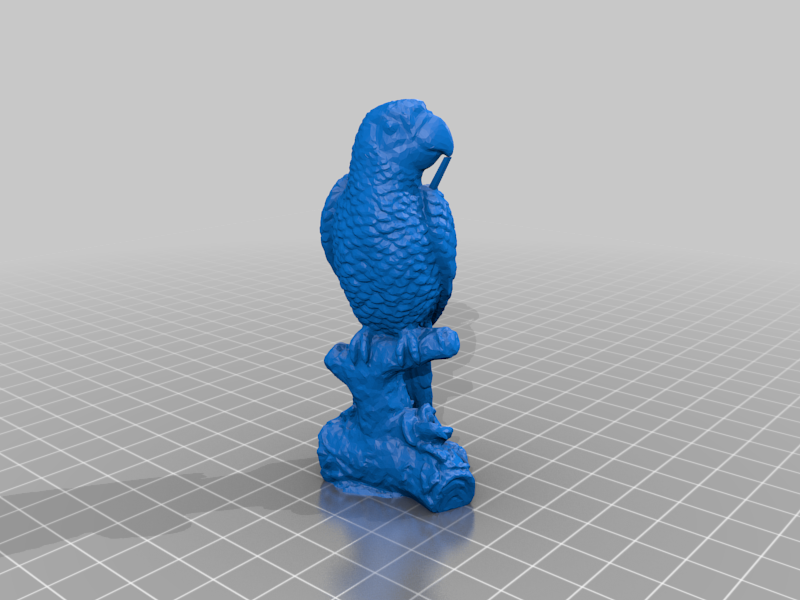 Macaw parrot - 3D Scan with beak support