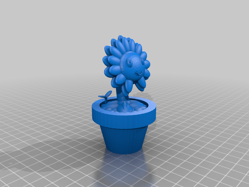 Sunflower in a pot