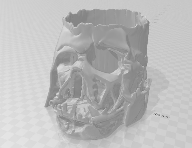 Darth Vader Melted Mask Pot Plant