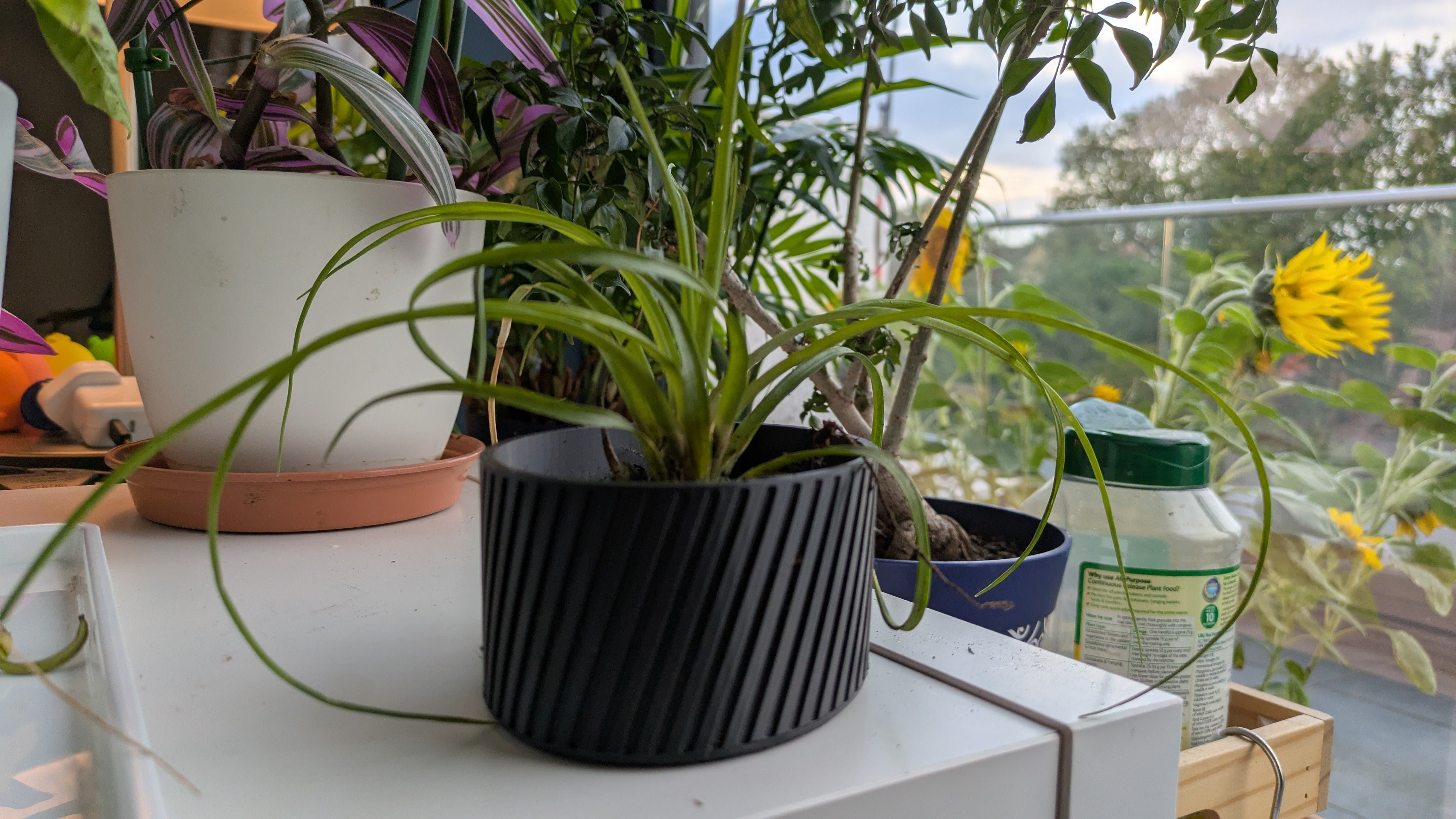 Parametric Plant Pot - Updated