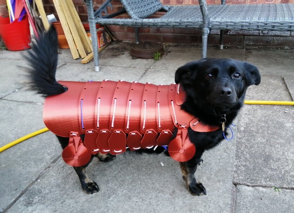 Dog Armour