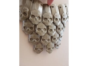 Skull Scale mail 3D model