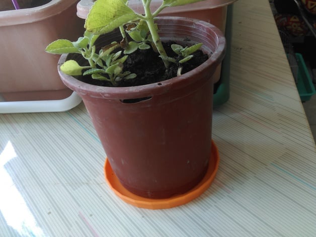 A simple saucer for the flower pot