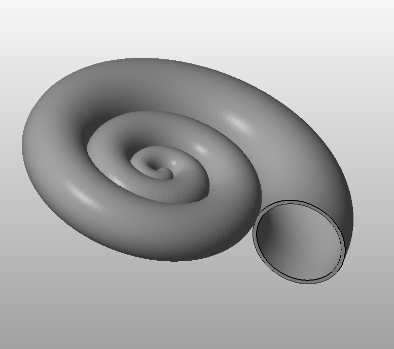 nautilus shell
