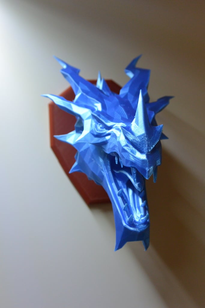 Skyrim ice Dragon wall Trophy