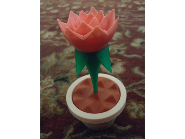 Flower In Pot