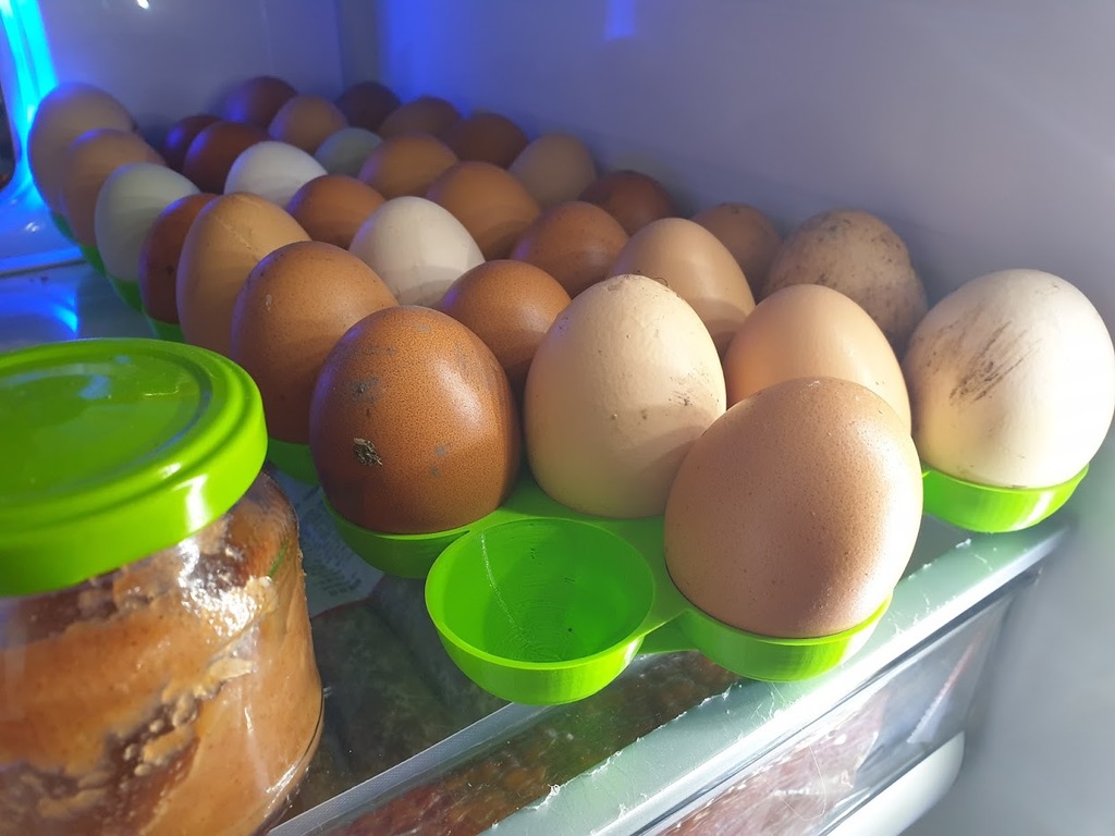 Egg fridge plate