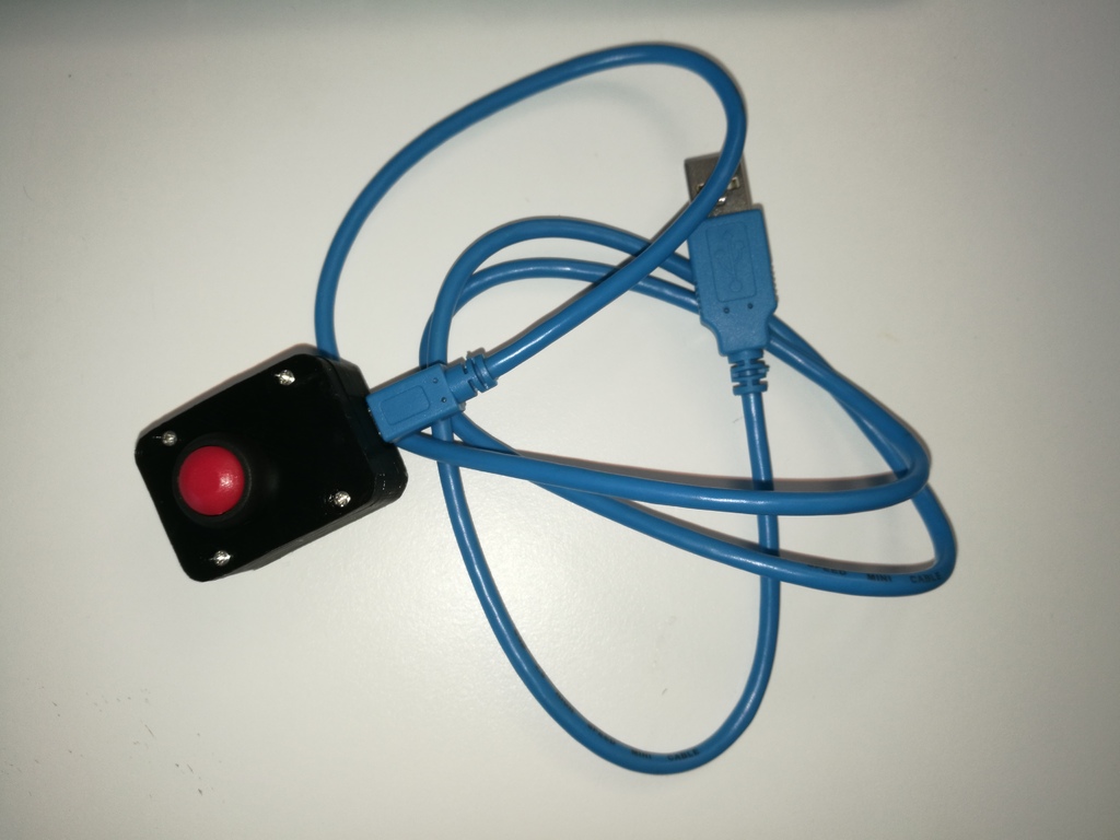 USB wired custom button