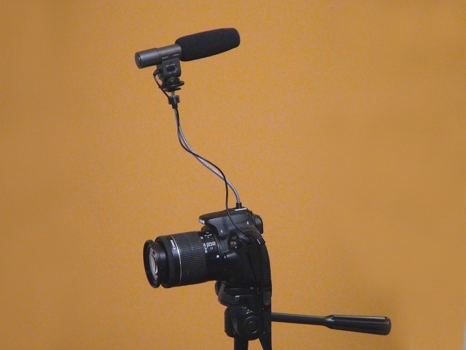 Flexible Gooseneck Mic Stand With An Accessory Shoe