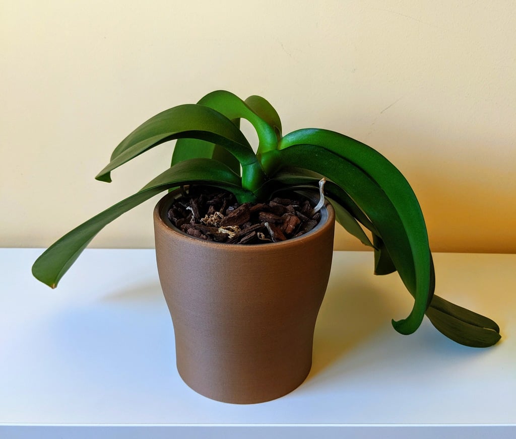 Orchid Pot / Planter