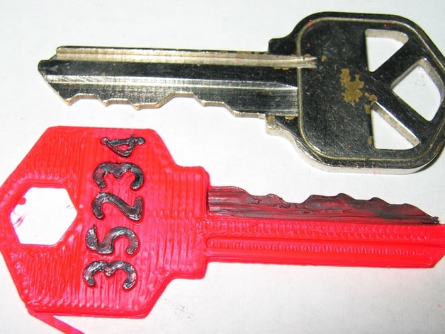 Customizable House Padlock Key