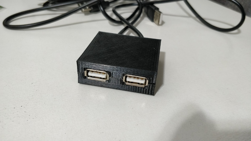 Dual USB Extension Case