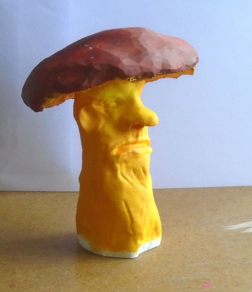 Mushroom 3d scanning