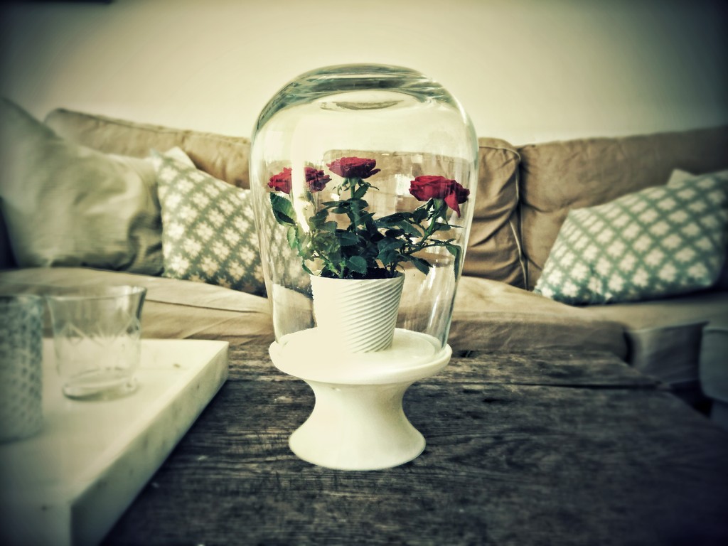 Flower pedestal with glass dome