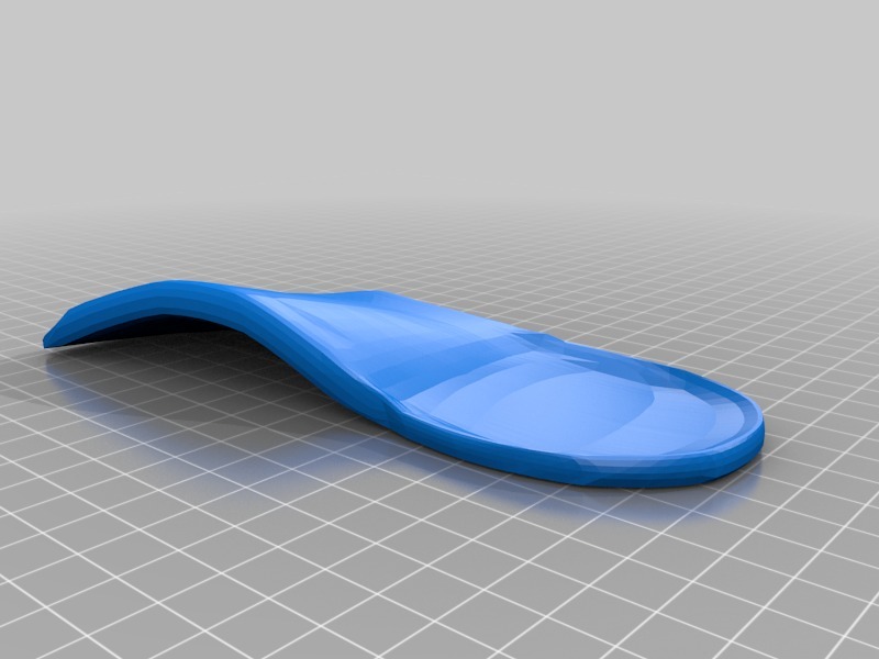 Right Orthotic Insoles