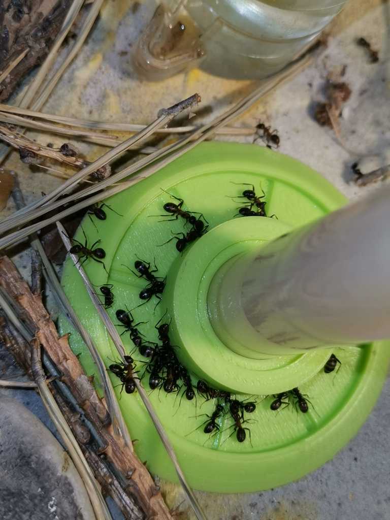 Ant feeder & drinker 