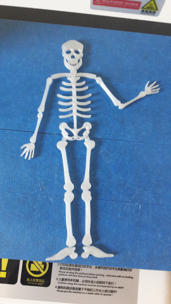skeleton (flat)