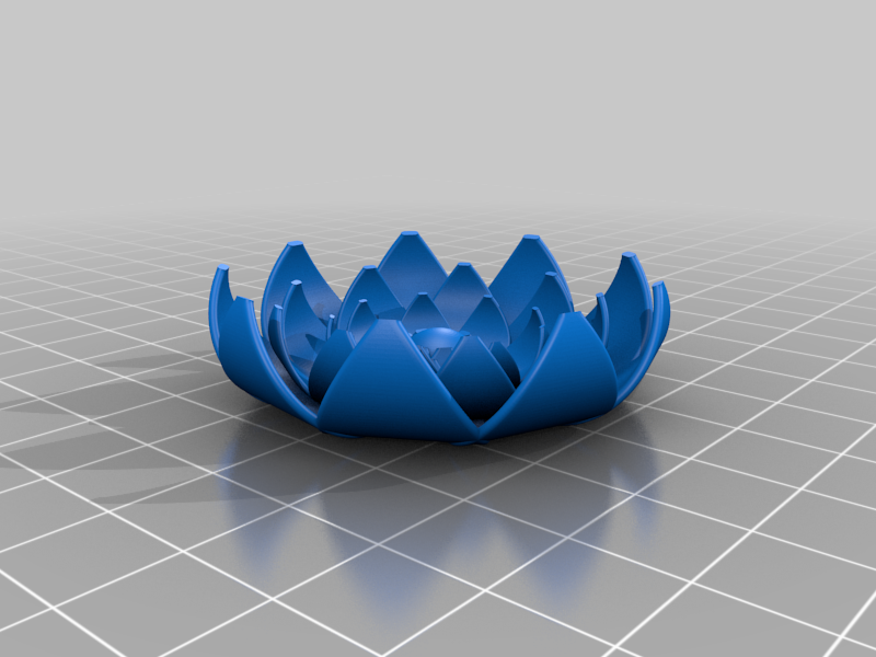 lotus flower