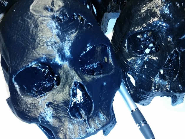 Human Skull Scan