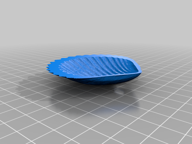 komp Sea Shell