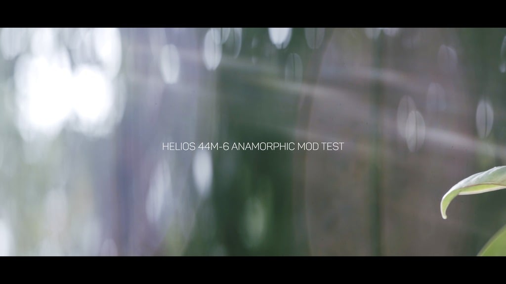 Helios 44m-6 Anamorphic Mod