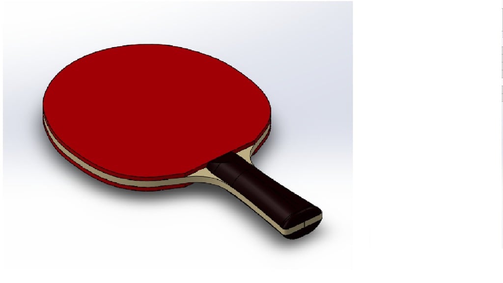 Ping pong paddle 