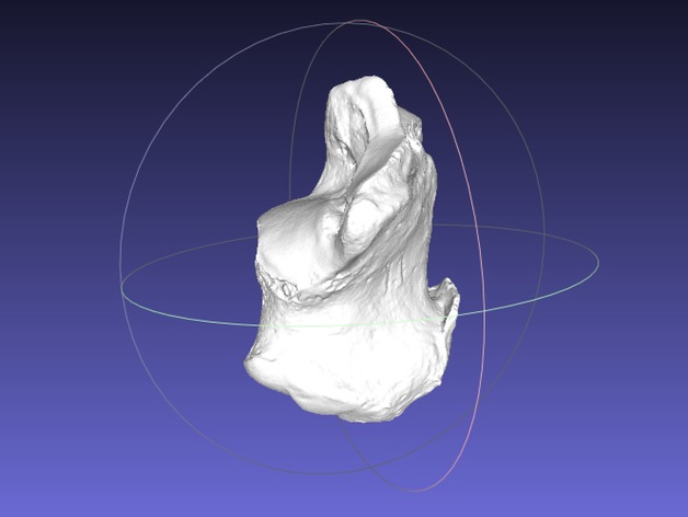 High resolution Human Calcaneus (Heel Bone) Scan